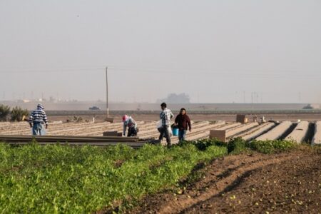 This Tech Startup Could Reward Small Farmers for Sustainable Practices Image